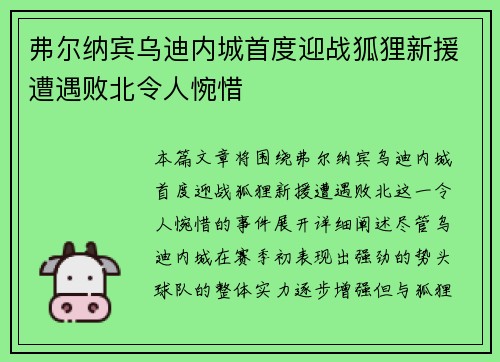弗尔纳宾乌迪内城首度迎战狐狸新援遭遇败北令人惋惜